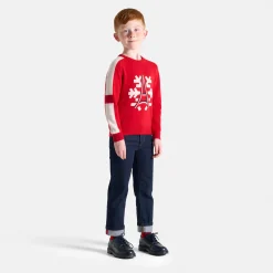 Jacadi Sweaters, Sweatshirts And Cardigans|Boy Holiday sweater Brick red