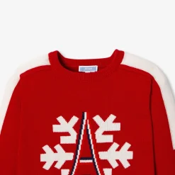 Jacadi Sweaters, Sweatshirts And Cardigans|Boy Holiday sweater Brick red