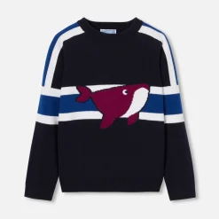 Jacadi Sweaters, Sweatshirts And Cardigans|Boy sweater Navy/Blue