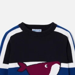 Jacadi Sweaters, Sweatshirts And Cardigans|Boy sweater Navy/Blue